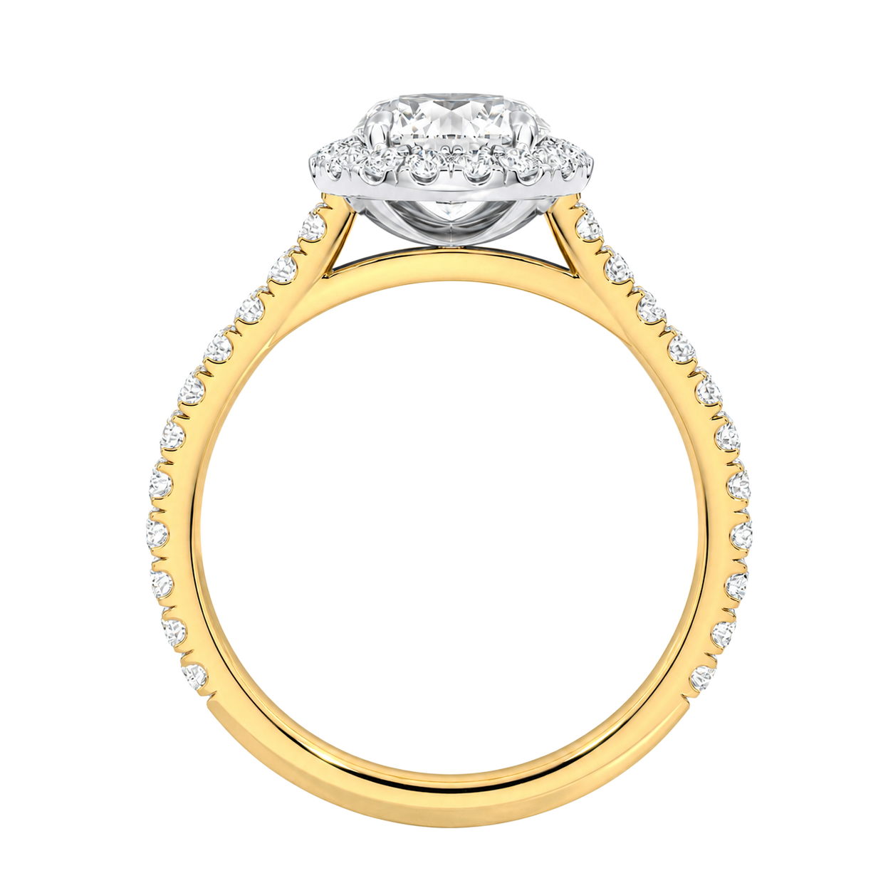 Cordelia - Round - Yellow / White Tone - Pavé
