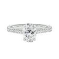 Basilica - Oval - White Gold - Pavé