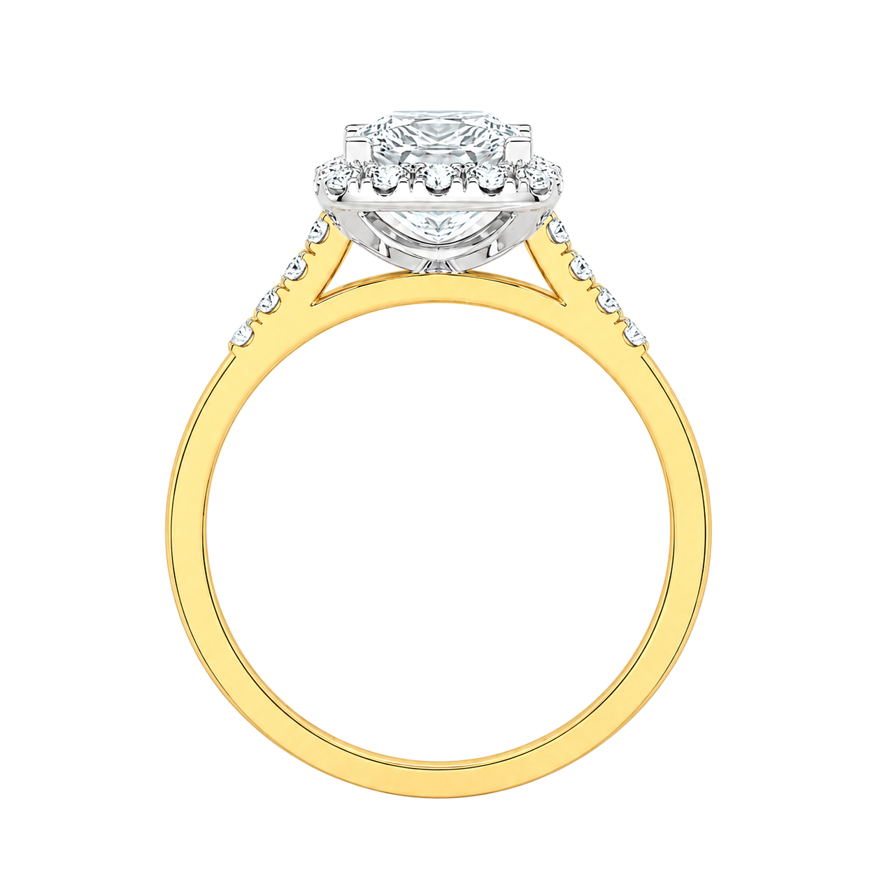 Cordelia - Princess - Yellow / White Tone - Channel