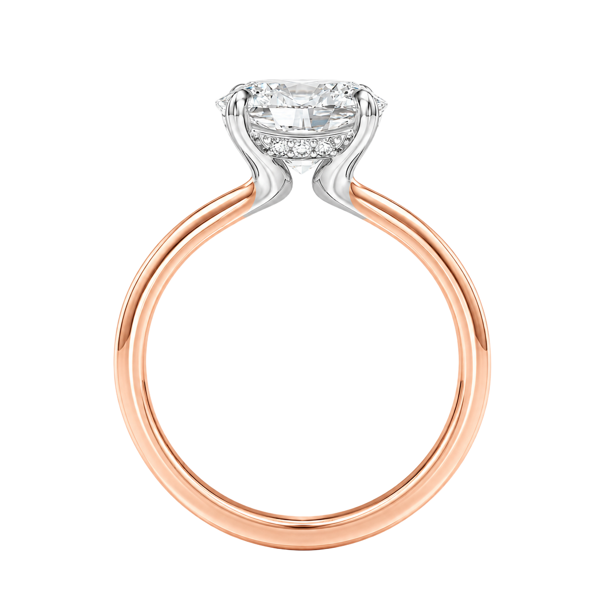 Meridian - Oval - Rose/White Tone - Plain