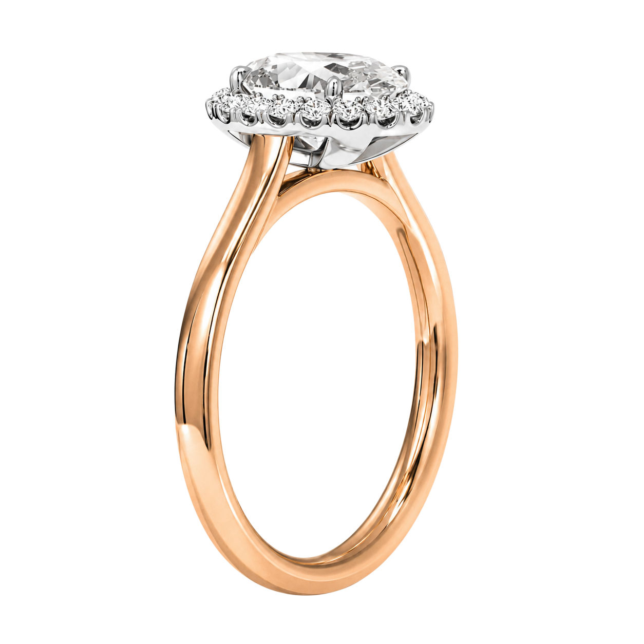 Cordelia - Oval - Rose / White Tone - Plain