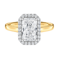 Cordelia - Radiant - Yellow / White Tone - Plain