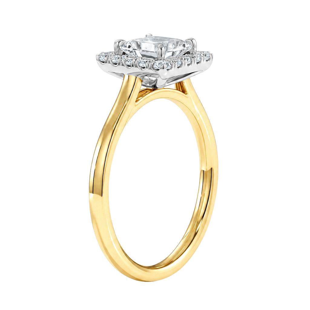 Cordelia - Radiant - Yellow / White Tone - Plain