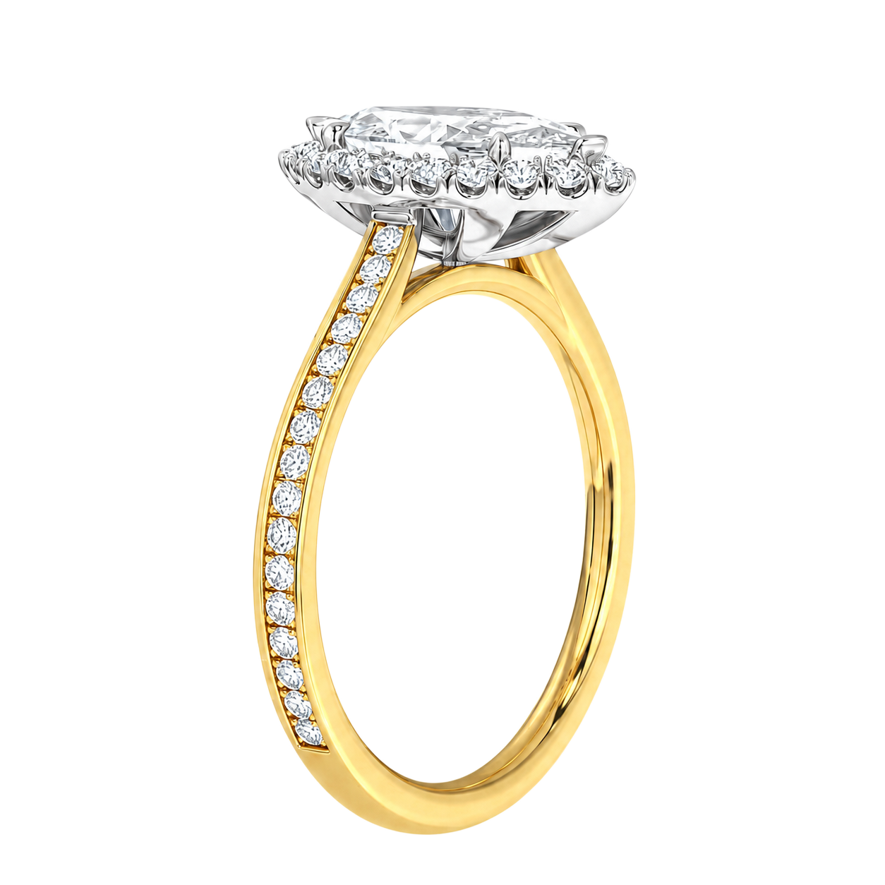 Cordelia - Radiant - Yellow / White Tone - Channel