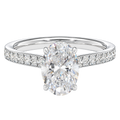 Talia - Oval - White Gold - Pavé