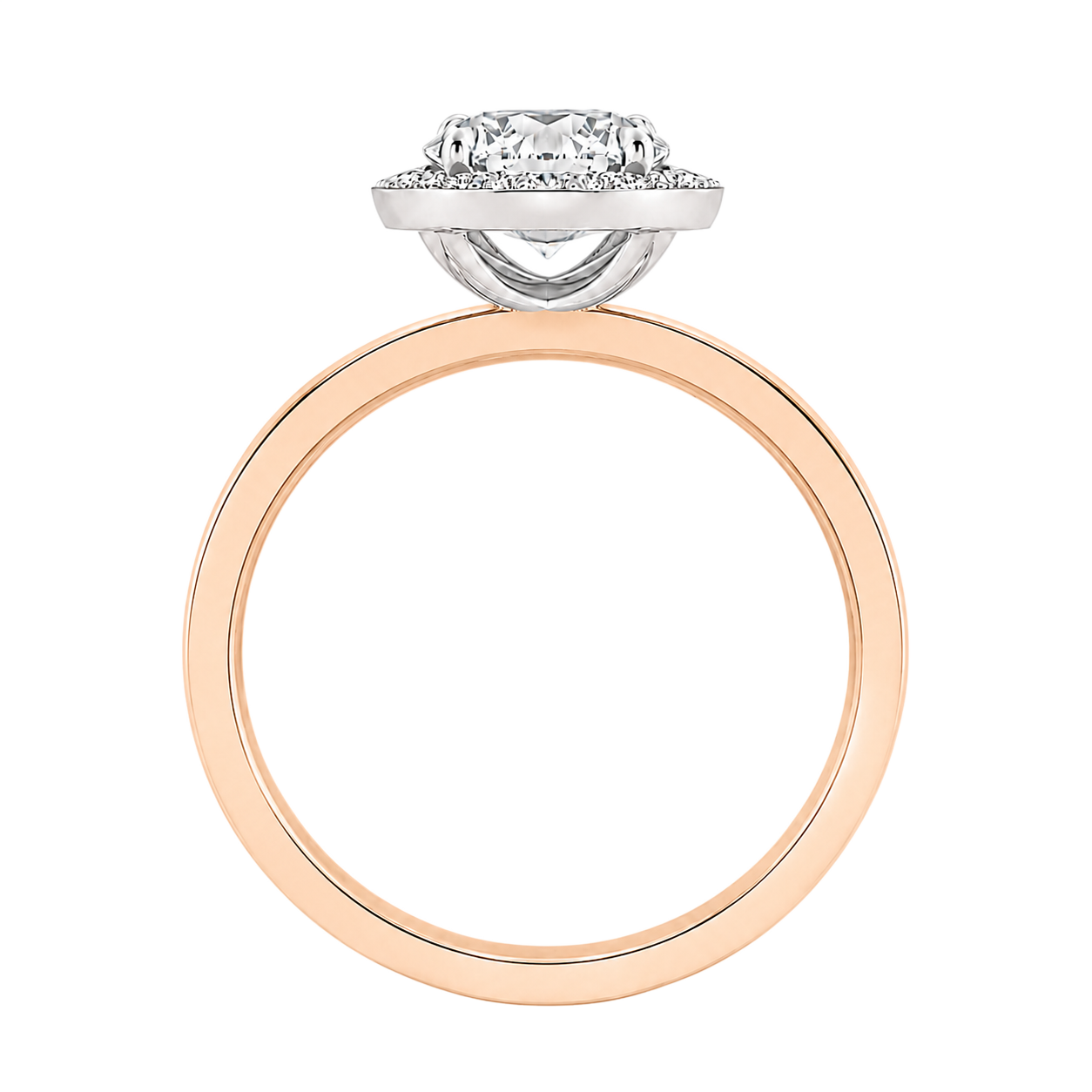 Deneuve - Radiant - Rose/White Tone - Channel