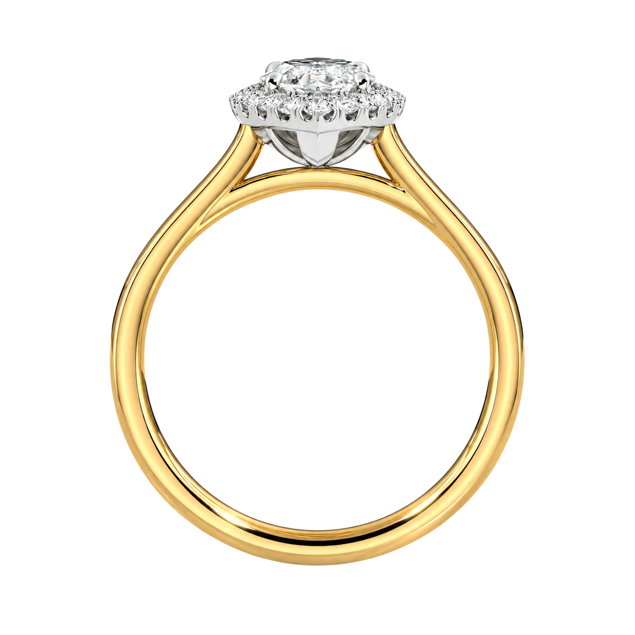 Cordelia - Marquise - Yellow / White Tone - Plain