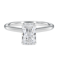 Talia - Radiant - Platinum - Plain