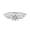 Halcyon - Round - Platinum - Plain