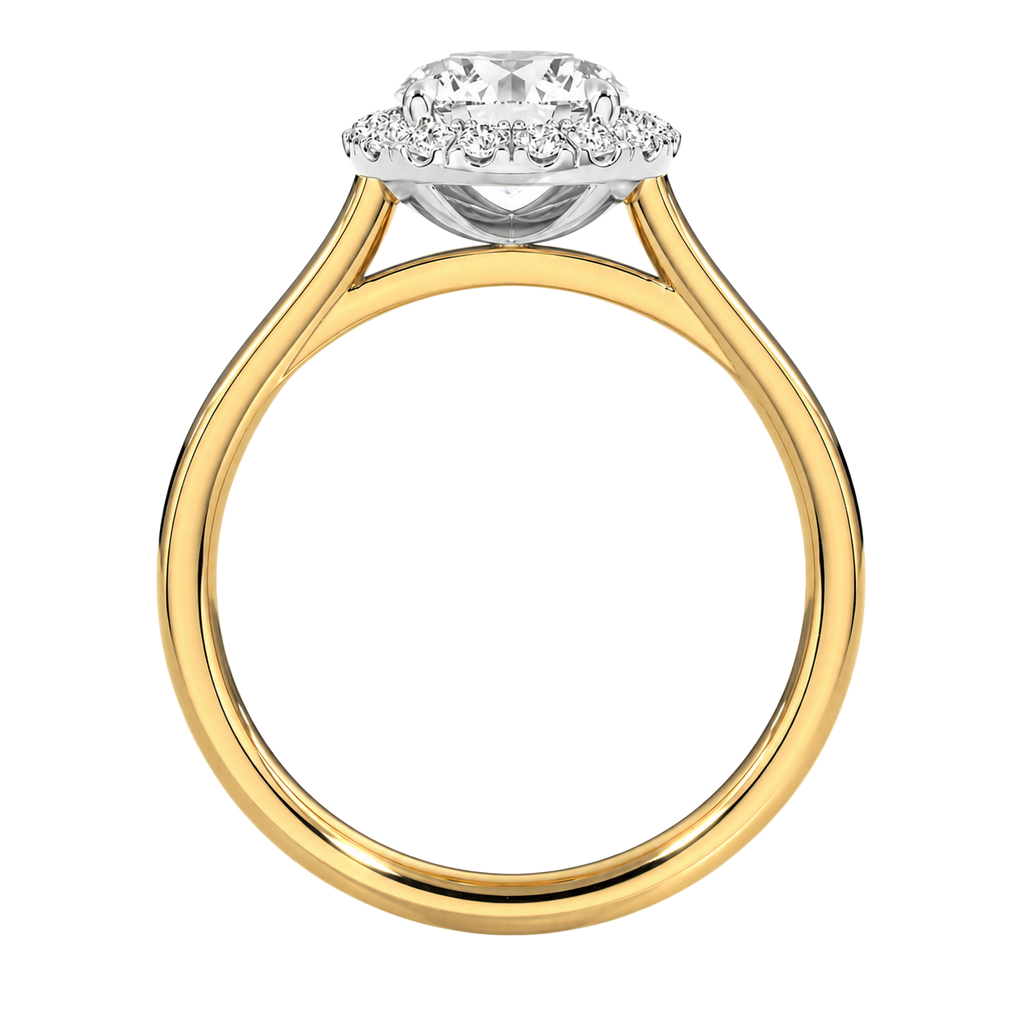 Cordelia - Round - Yellow / White Tone - Plain