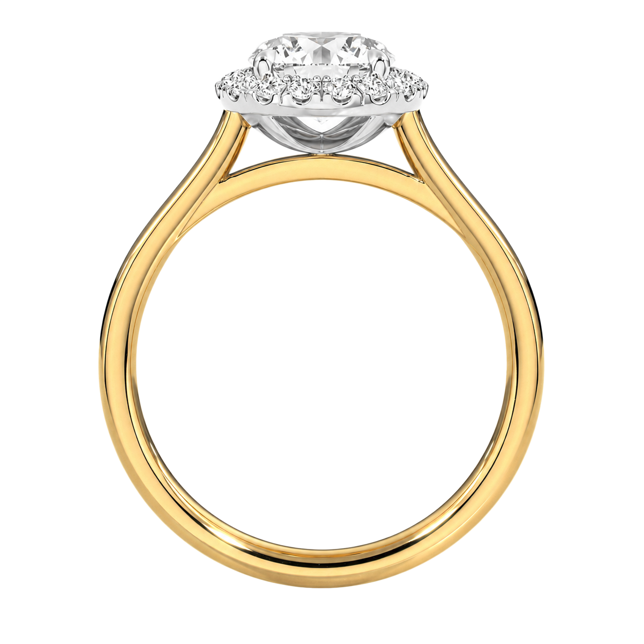 Cordelia - Round - Yellow / White Tone - Plain