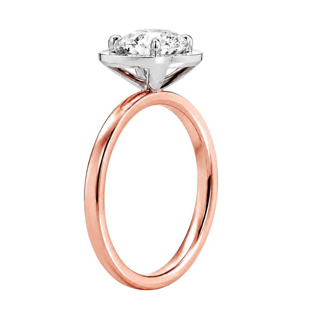 Deneuve - Radiant - Rose/White Tone - Plain