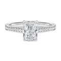 Basilica - Radiant - Platinum - Pavé