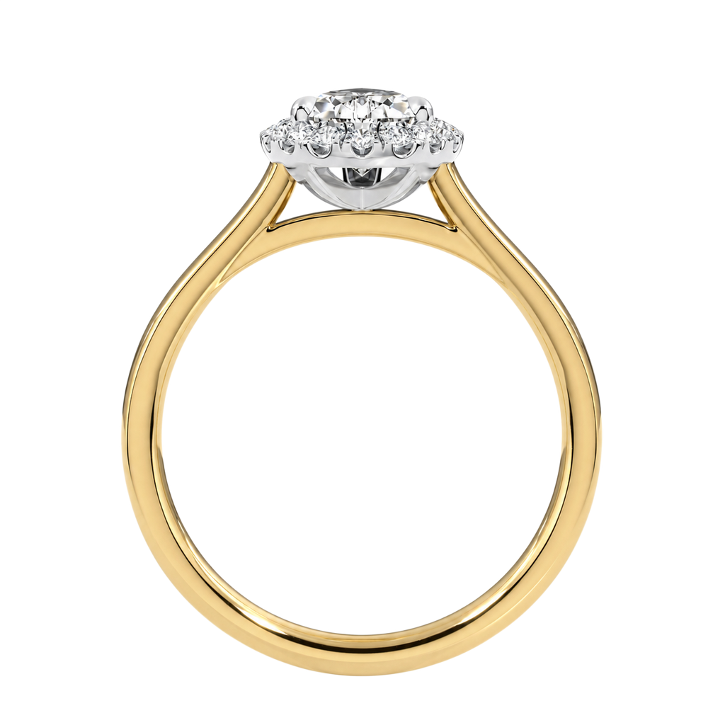 Cordelia - Pear - Yellow / White Tone - Plain