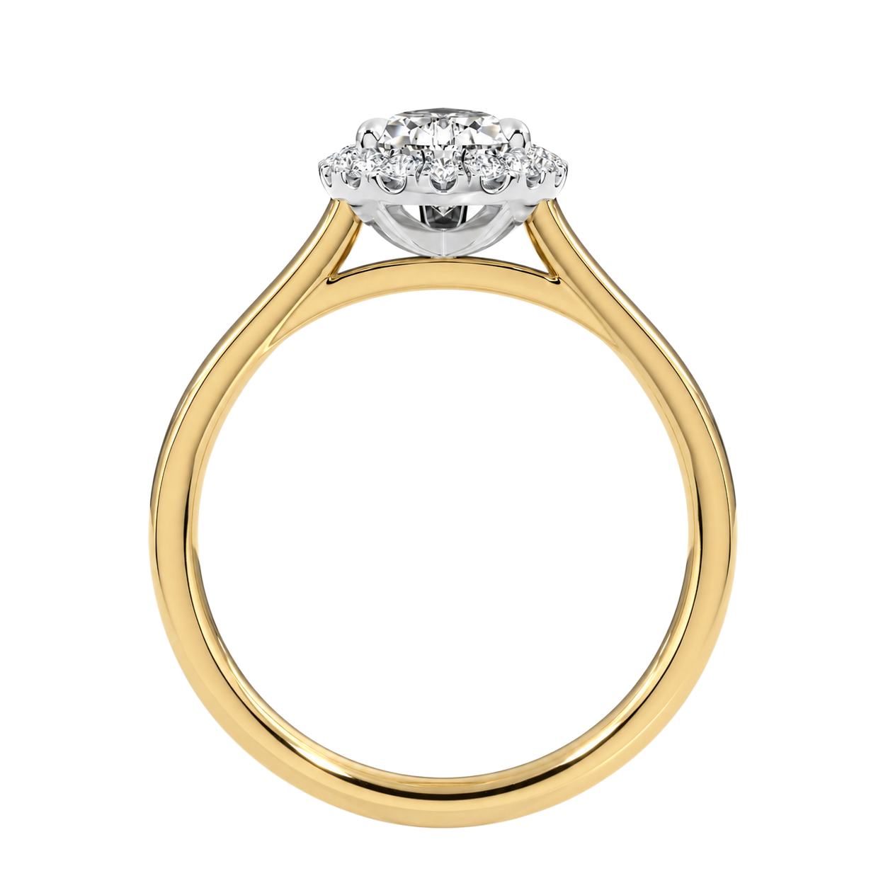 Cordelia - Pear - Yellow / White Tone - Plain