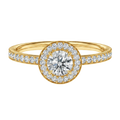 Deneuve - Round - Yellow Gold - Pavé