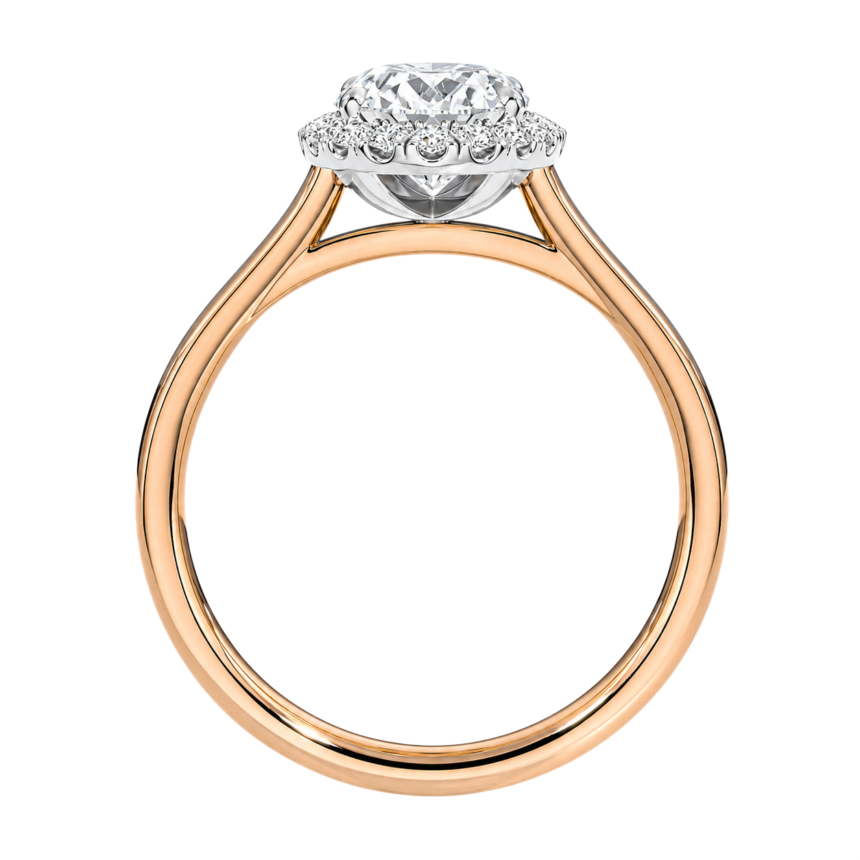 Cordelia - Oval - Rose / White Tone - Plain