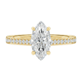 Basilica - Marquise - Yellow Gold - Pavé