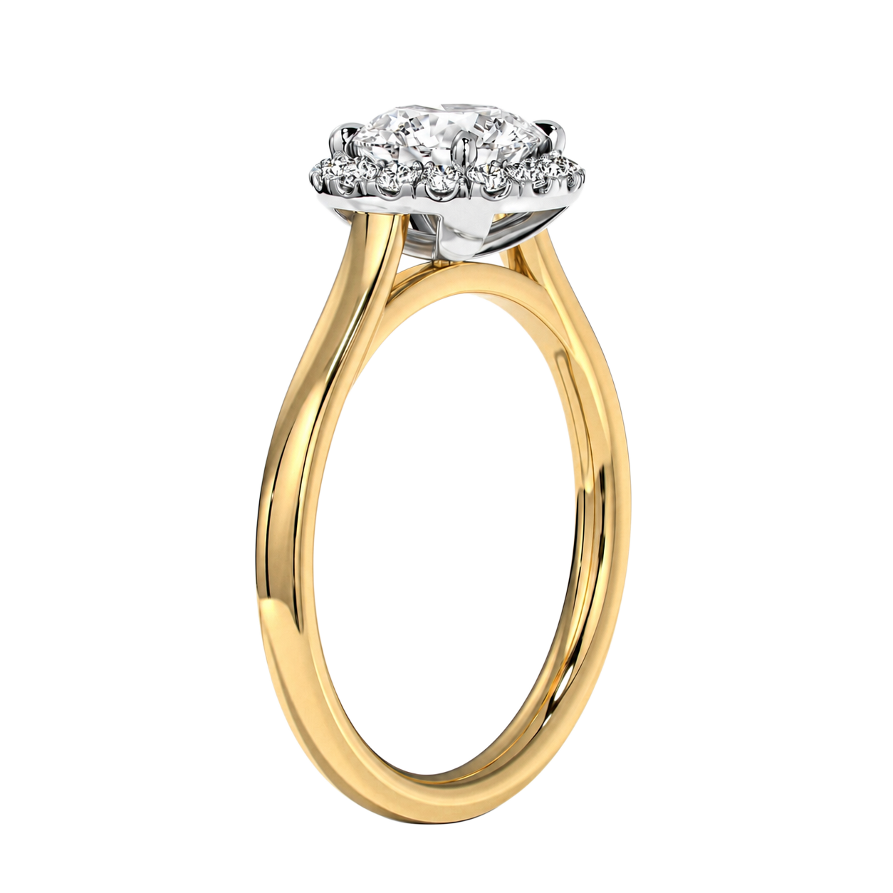 Cordelia - Round - Yellow / White Tone - Plain