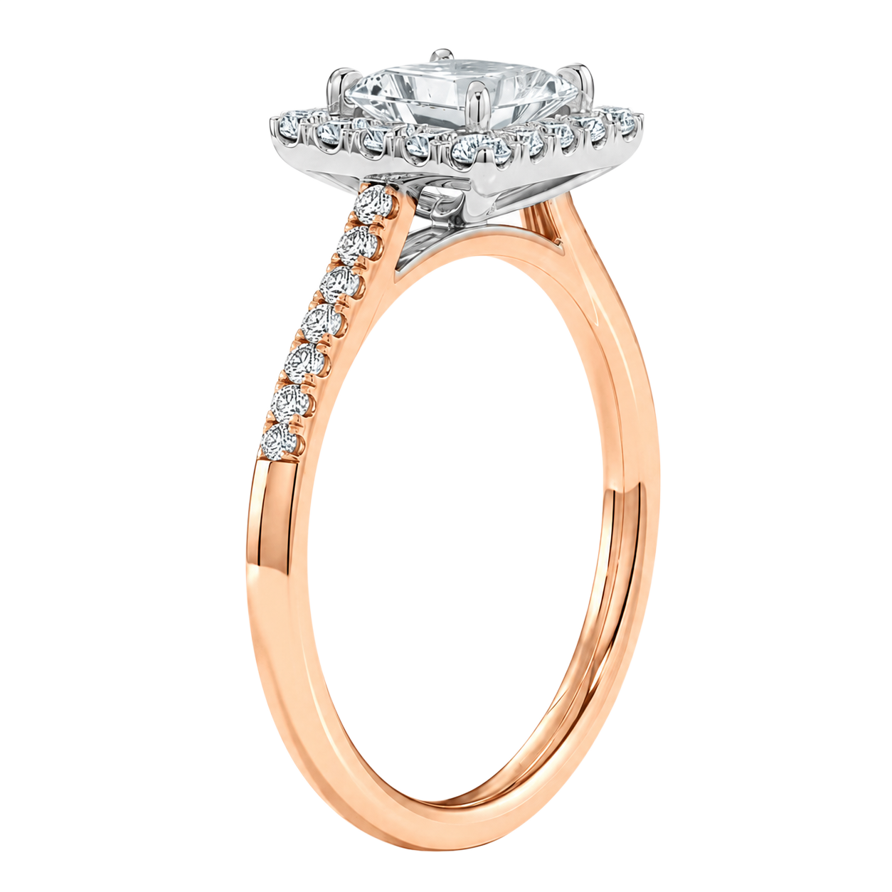 Cordelia - Radiant - Rose / White Tone - Plain