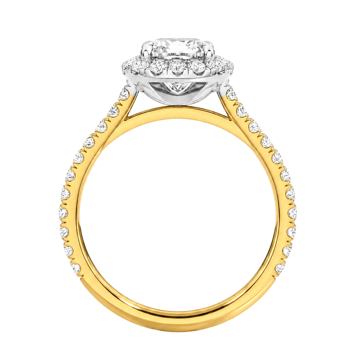 Cordelia - Round - Yellow / White Tone - Channel