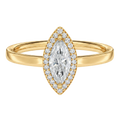 Deneuve - Marquise - Yellow Gold - Plain