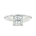 Basilica - Princess - Platinum - Plain