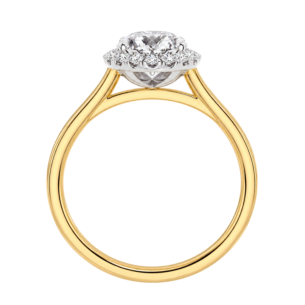 Cordelia - Oval - Yellow / White Tone - Plain