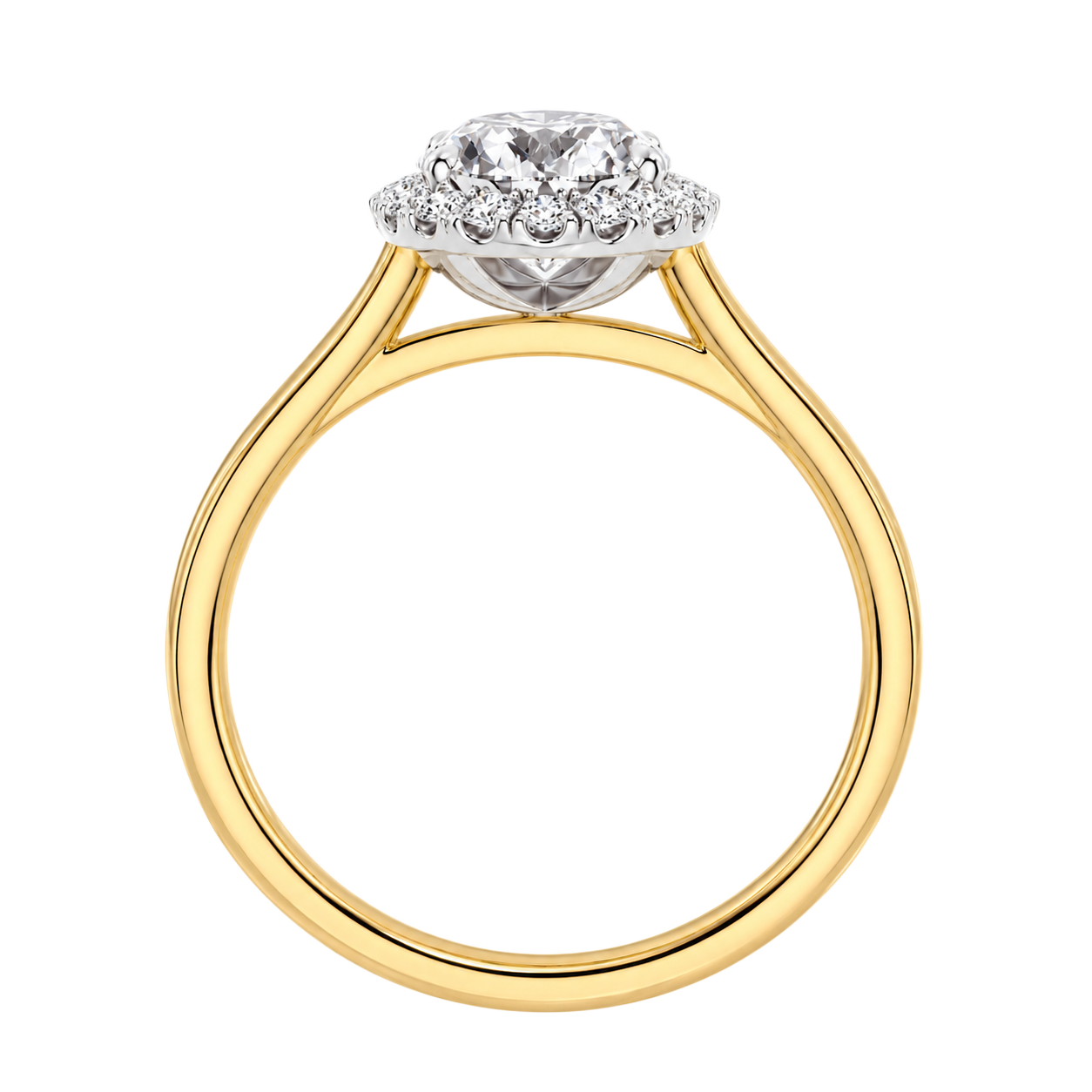 Cordelia - Oval - Yellow / White Tone - Plain