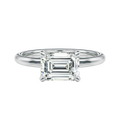 Meridian - Emerald - Platinum - Plain