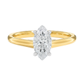 Basilica - Marquise - Yellow/White Tone - Plain