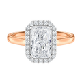 Cordelia - Radiant - Rose / White Tone - Plain