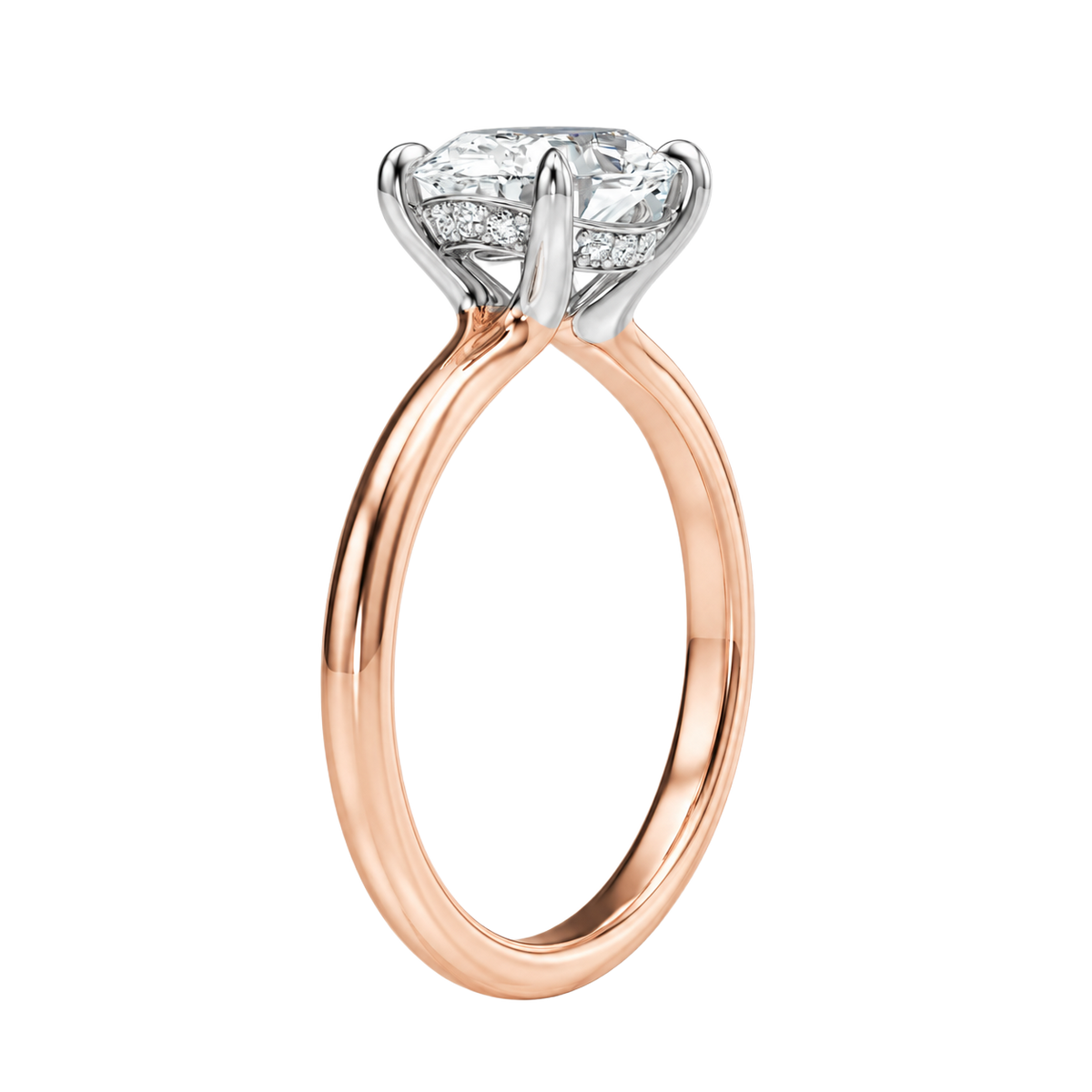 Meridian - Oval - Rose/White Tone - Plain