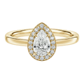 Deneuve - Pear - Yellow Gold - Plain
