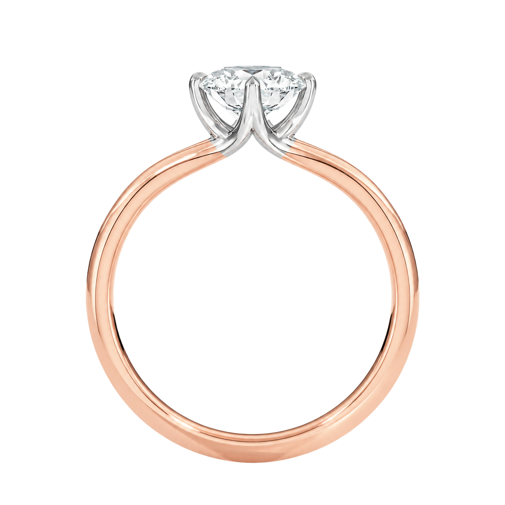 Lumiere - Princess - Rose/White Tone - Plain