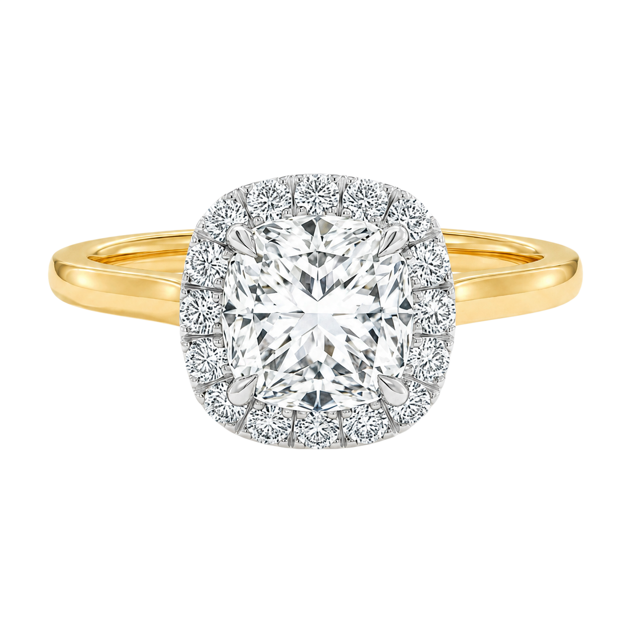 Cordelia - Radiant - Yellow / White Tone - Plain