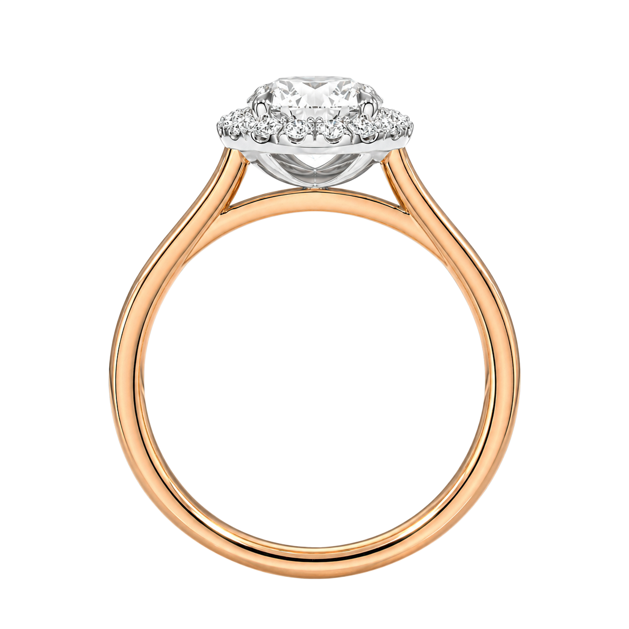 Cordelia - Round - Rose / White Tone - Plain