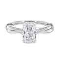 Wreath - Radiant - Platinum - Plain