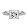 Bailey - Princess - Platinum - Pavé