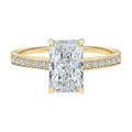 Basilica - Radiant - Yellow Gold - Channel