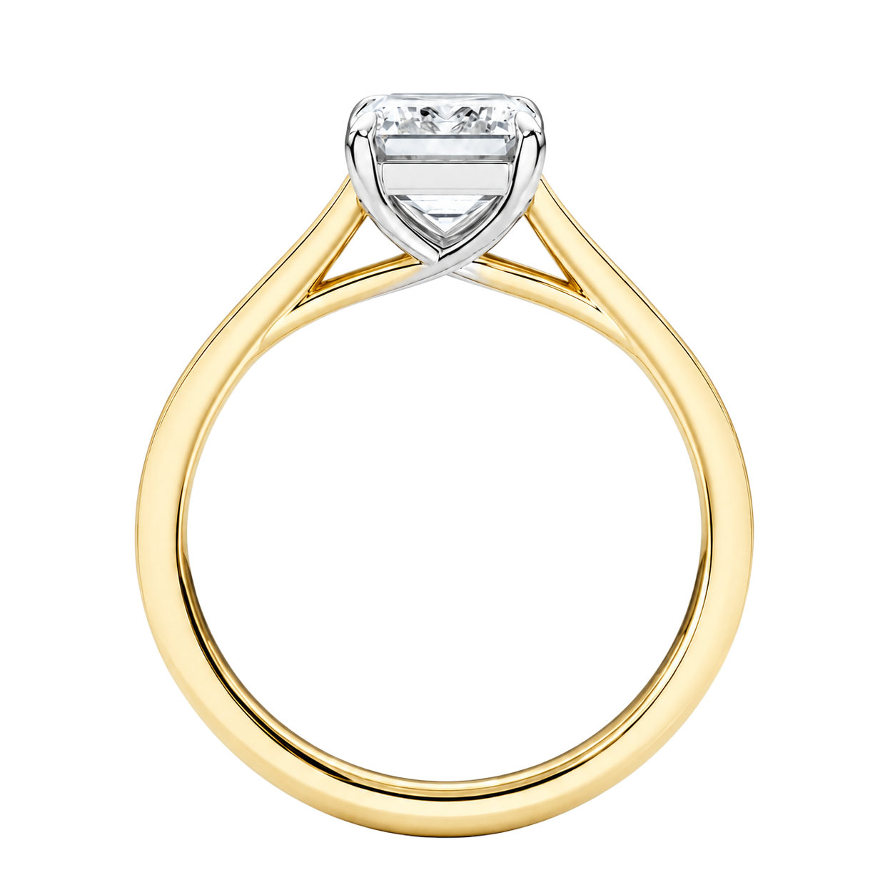 Basilica - Radiant - Yellow/White Tone - Pavé