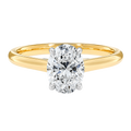 Basilica - Oval - Yellow/White Tone - Plain