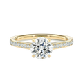Basilica - Round - Yellow Gold - Pavé