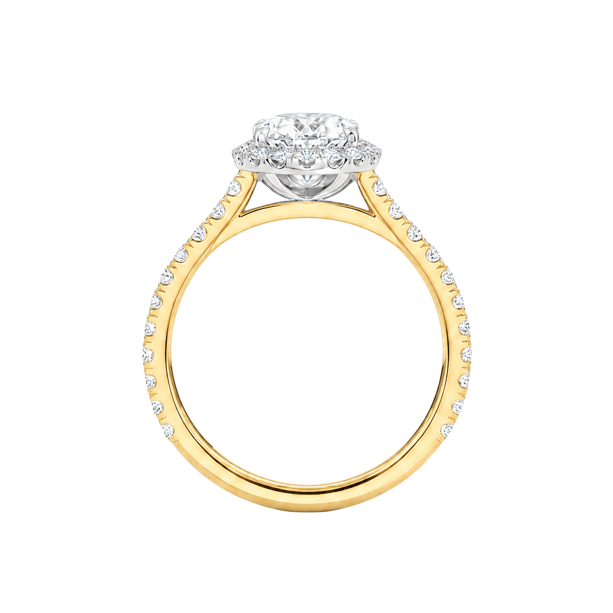 Cordelia - Radiant - Yellow / White Tone - Pavé