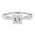 Wreath - Princess - Platinum - Plain