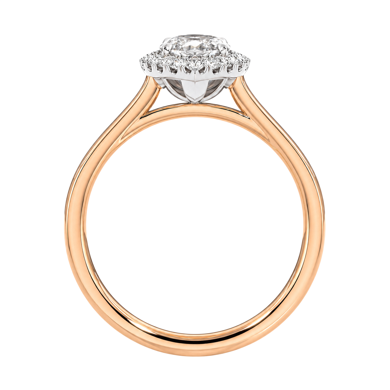 Cordelia - Marquise - Rose / White Tone - Plain