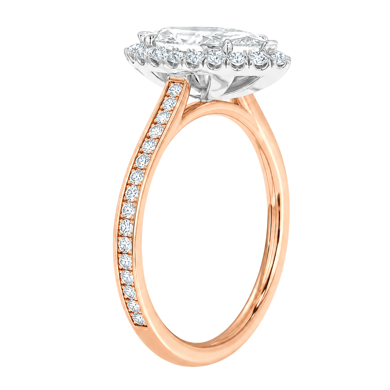 Cordelia - Radiant - Rose / White Tone - Channel