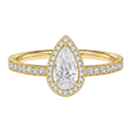 Deneuve - Pear - Yellow Gold - Pavé