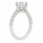 Seraphine - White Gold