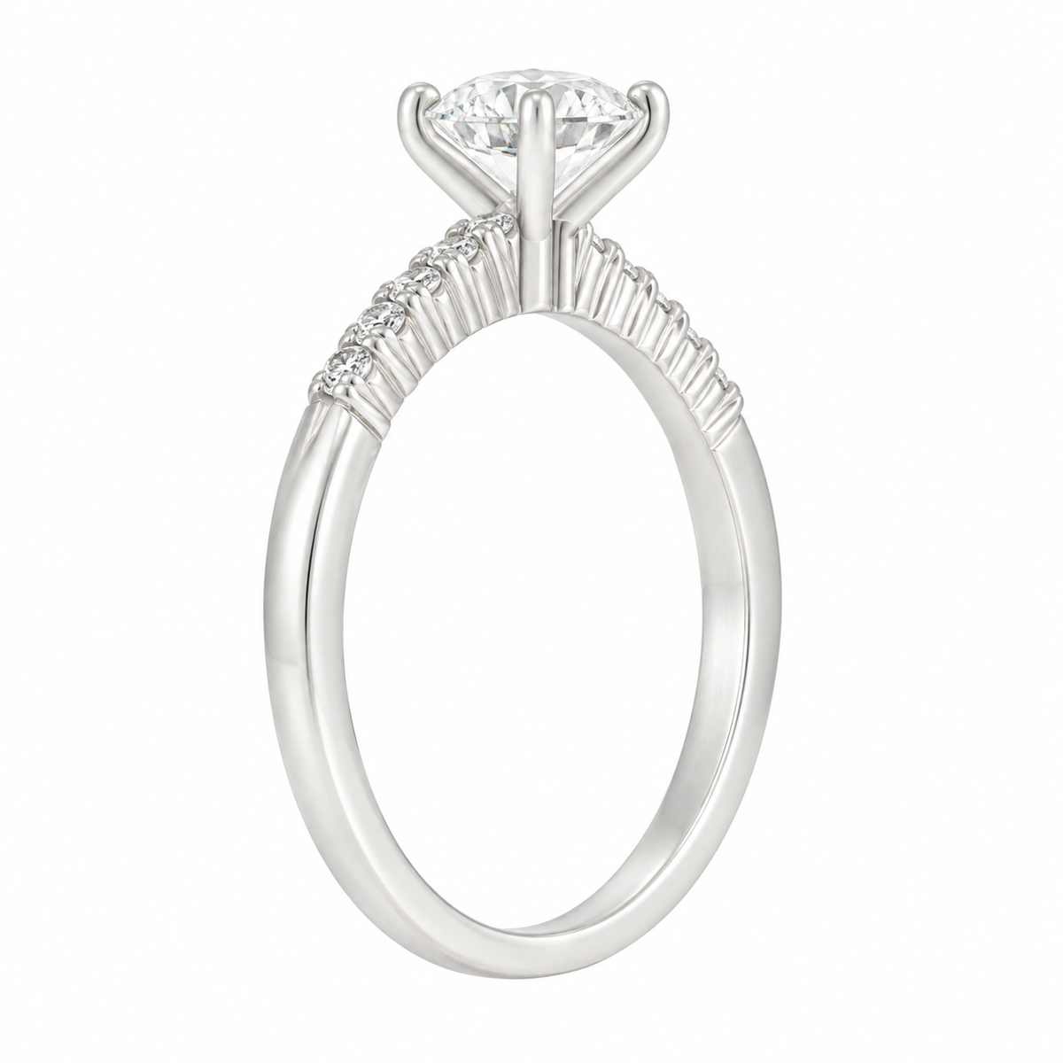 Aurelia